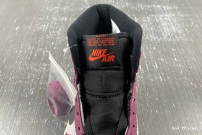 Element Vibrant 49 Gore-Tex Berry High DB2889- Jordan 1 871 0831